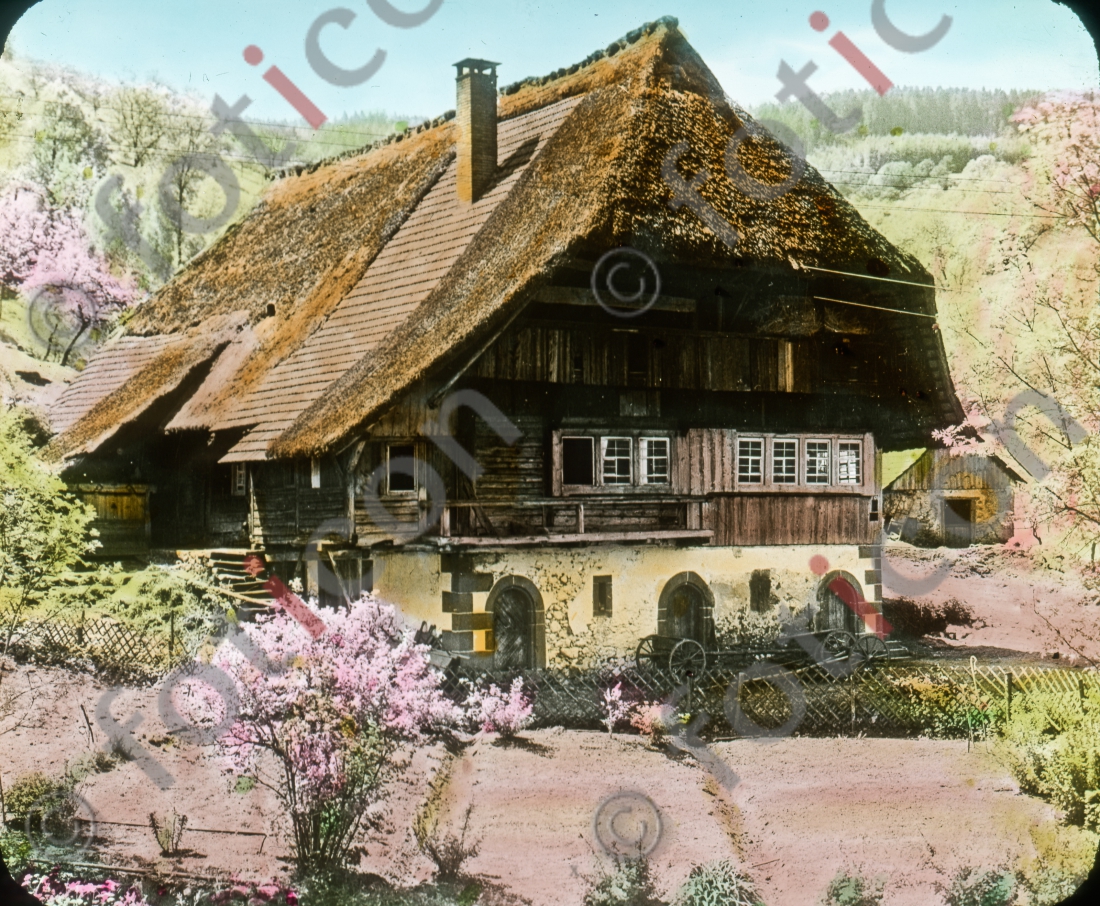 Schwarzwaldhaus | Black Forest House - Foto foticon-simon-127-006.jpg | foticon.de - Bilddatenbank für Motive aus Geschichte und Kultur